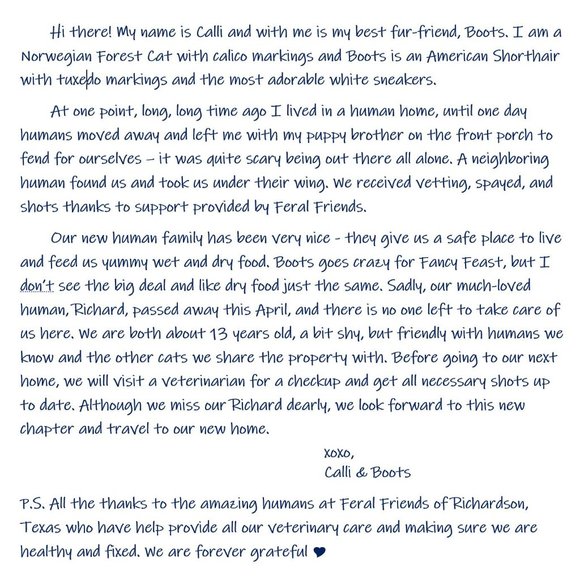 Calli & Boots - Picture 2 of 5